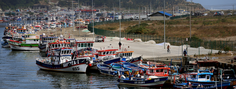 Puerto de Lebu